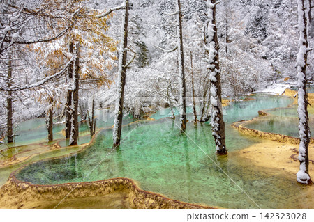 Post snow winter scenery of travertine colorful ponds, Huanglong Scenic Area, Sichuan, China Post snow winter scenery of travertine colorful ponds, Huanglong Scenic Area, Sichuan, China 142323028