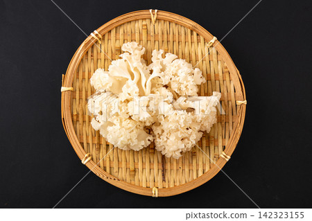 fresh Raw Cauliflower Mushroom Sparassis Crispa Edible Fungus fresh Raw Cauliflower Mushroom Sparassis Crispa Edible Fungus 142323155
