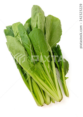 fresh Green Bok Choy Leaves Isolated on White Background fresh Green Bok Choy Leaves Isolated on White Background 142323229