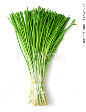 bundle of Green Garlic Chives Isolated on White Background bundle of Green Garlic Chives Isolated on White Background 142323273