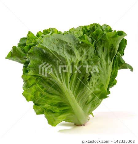rresh Green Romaine Lettuce Leaves Close Up rresh Green Romaine Lettuce Leaves Close Up 142323308