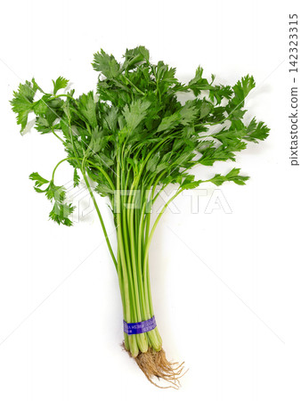 bundle of Chinese Celery Leaves Close Up bundle of Chinese Celery Leaves Close Up 142323315