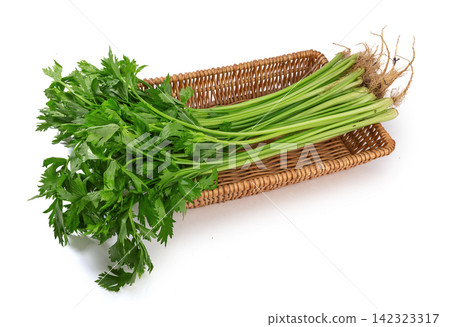 bundle of Chinese Celery Leaves Close Up bundle of Chinese Celery Leaves Close Up 142323317