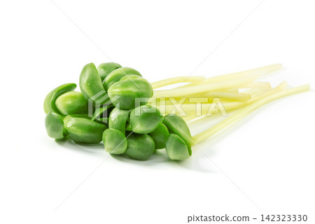 fresh Green Pea Shoots Microgreens Close Up 142323330