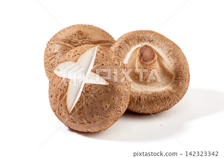 raw Shiitake Mushrooms with Cross Pattern Cut raw Shiitake Mushrooms with Cross Pattern Cut 142323342