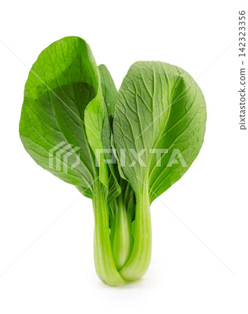 fresh Green Shanghai Bok Choy Leaves fresh Green Shanghai Bok Choy Leaves 142323356