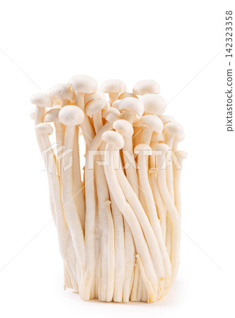 raw White Beech Mushrooms Shimeji Cluster raw White Beech Mushrooms Shimeji Cluster 142323358
