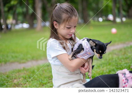 Young mixed race girl owner holding a small dog chihuahua while sitting on grass in the park Young mixed race girl owner holding a small dog chihuahua while sitting on grass in the park 142323471