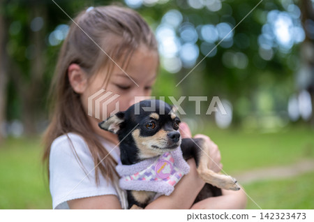 Young mixed race girl cuddles a small dog chihuahua and looking at it affectionately in the park. Young mixed race girl cuddles a small dog chihuahua and looking at it affectionately in the park. 142323473