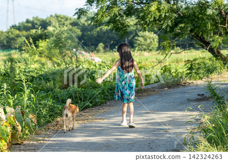 Rear view of Asian little girl walking dog on rural path, peaceful countryside lifestyle and childhood exploration concept Rear view of Asian little girl walking dog on rural path, peaceful countryside lifestyle and childhood exploration concept 142324263