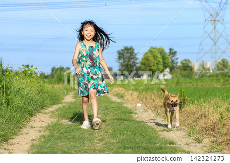 Asian little girl walking with dog on country road, happy childhood outdoor lifestyle and natural environment concept 142324273