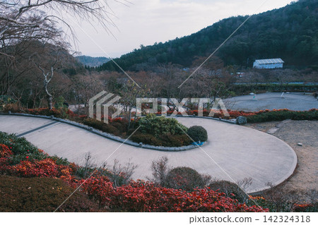 【勝王寺】位於大阪深山之中，以達摩不倒翁聞名的寺廟！歷史悠久的寺廟景色。 142324318
