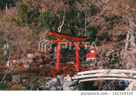 【勝王寺】位於大阪深山之中,以達摩不倒翁聞名的寺廟!歷史悠久的寺廟景色。 【勝王寺】位於大阪深山之中,以達摩不倒翁聞名的寺廟!歷史悠久的寺廟景色。 142324329