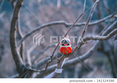[Katsuoji Temple] A temple famous for its Daruma dolls, located deep in the mountains of Osaka! A scene adorned with adorable Daruma dolls. 142324390