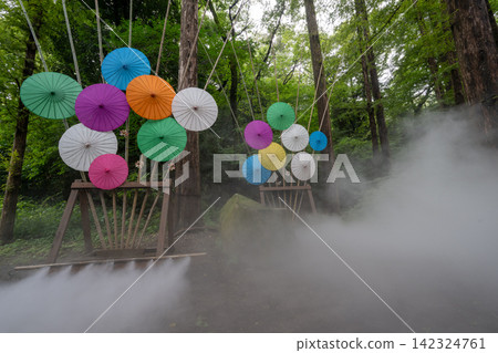 霧 霧 142324761