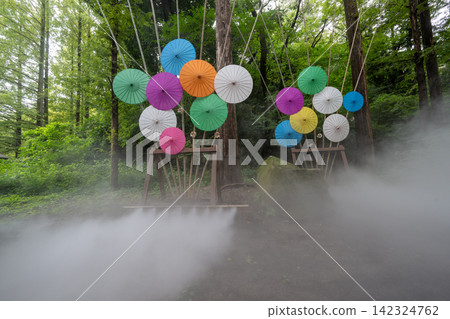 霧 霧 142324762
