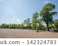 Kishine Park, Summer, Kohoku Ward, Yokohama City, Kanagawa Prefecture 142324783