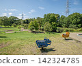 Kishine Park, Summer, Kohoku Ward, Yokohama City, Kanagawa Prefecture 142324785