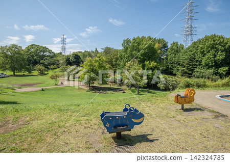 神奈川縣橫濱市港北區岸根公園,夏季 神奈川縣橫濱市港北區岸根公園,夏季 142324785