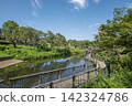 Kishine Park, Summer, Kohoku Ward, Yokohama City, Kanagawa Prefecture 142324786