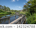 Kishine Park, Summer, Kohoku Ward, Yokohama City, Kanagawa Prefecture 142324788