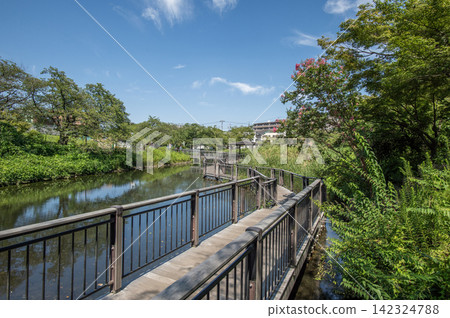 神奈川縣橫濱市港北區岸根公園,夏季 神奈川縣橫濱市港北區岸根公園,夏季 142324788