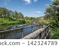 Kishine Park, Summer, Kohoku Ward, Yokohama City, Kanagawa Prefecture 142324789