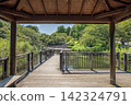 Kishine Park, Summer, Kohoku Ward, Yokohama City, Kanagawa Prefecture 142324791