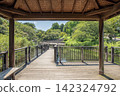 Kishine Park, Summer, Kohoku Ward, Yokohama City, Kanagawa Prefecture 142324792