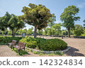 Kishine Park, Summer, Kohoku Ward, Yokohama City, Kanagawa Prefecture 142324834