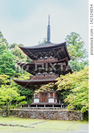 [Higashiomi City, Shiga Prefecture] Seimeiji Temple, Three-Storied Pagoda 142324854