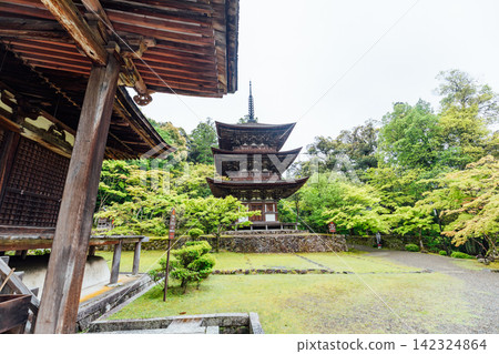 [Higashiomi City, Shiga Prefecture] Seimeiji Temple, Three-Storied Pagoda 142324864