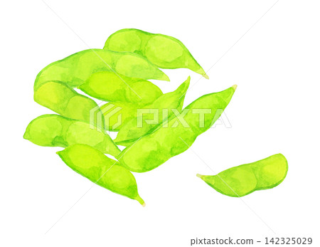 毛豆套裝 - 手繪水彩夏季蔬菜插圖 毛豆套裝 - 手繪水彩夏季蔬菜插圖 142325029