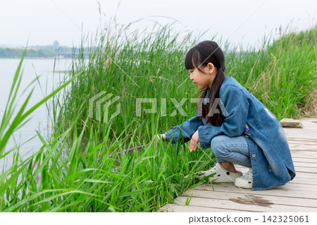 A young girl in a denim jacket was squatting on the wooden boardwalk near the lake, catching fish with a net in her hand. A young girl in a denim jacket was squatting on the wooden boardwalk near the lake, catching fish with a net in her hand. 142325061