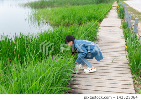 A young girl in a denim jacket was squatting on the wooden boardwalk near the lake, catching fish with a net in her hand. A young girl in a denim jacket was squatting on the wooden boardwalk near the lake, catching fish with a net in her hand. 142325064