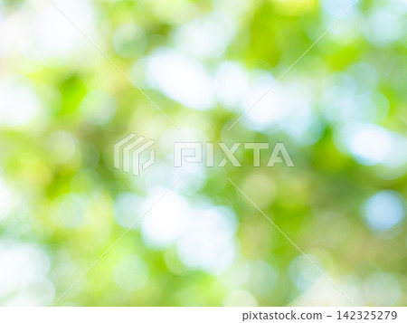 Green nature background bokeh leaf nature summer springtime blur sunlight natural fresh foliage environment ecosystem zero carbon envergy change backdrop, mockup product aesthetic beauty organic. Green nature background bokeh leaf nature summer springtime blur sunlight natural fresh foliage environment ecosystem zero carbon envergy change backdrop, mockup product aesthetic beauty organic. 142325279