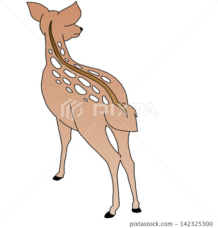 Hand-drawn animal illustration ☆ Doe Hand-drawn animal illustration ☆ Doe 142325300
