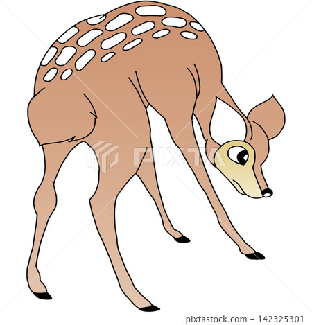 Hand-drawn animal illustration ☆ Doe Hand-drawn animal illustration ☆ Doe 142325301