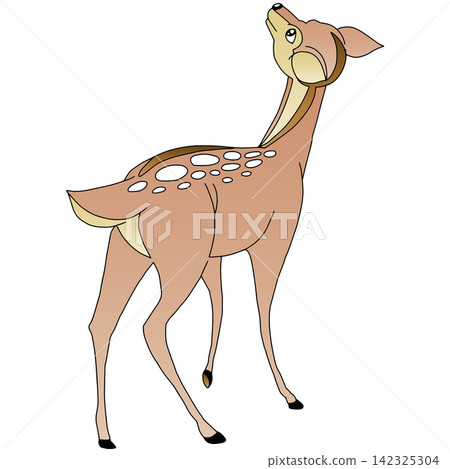手繪動物插畫☆母鹿 手繪動物插畫☆母鹿 142325304