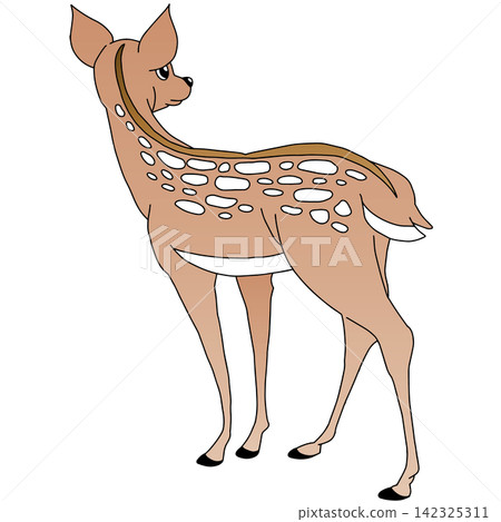 手繪動物插畫☆母鹿 142325311