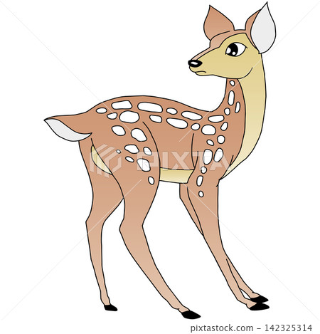 Hand-drawn animal illustration ☆ Doe Hand-drawn animal illustration ☆ Doe 142325314