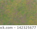 Natural and warm olive green and pink oil painting-style texture background material. 142325677
