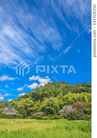 茅草屋頂的鄉村景色。 142326350