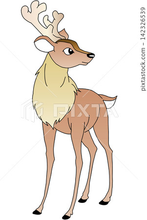 Hand-drawn animal illustration ☆ Deer Hand-drawn animal illustration ☆ Deer 142326539