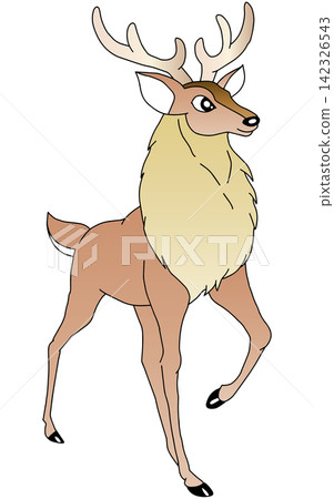 Hand-drawn animal illustration ☆ Deer 142326543