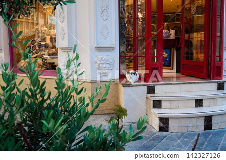 A calico cat in Istanbul sitting in front of a pottery shop with a red door. A calico cat in Istanbul sitting in front of a pottery shop with a red door. 142327126
