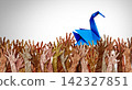 Community Project Support 142327851
