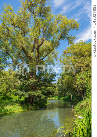 萬水川的景色：大王芥末農場的美麗河景 142327882