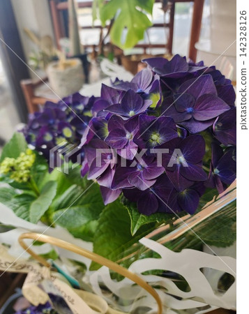 繡球花禮物 繡球花禮物 142328126
