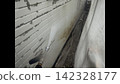 Exterior wall painting 142328177